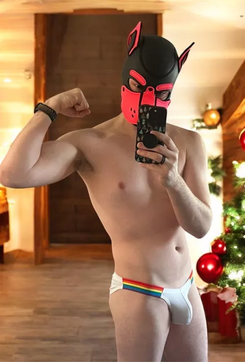 16 more days fat man. till this pup catches you 