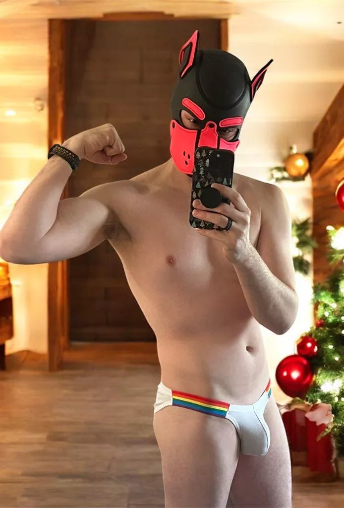 16 more days fat man. till this pup catches you 