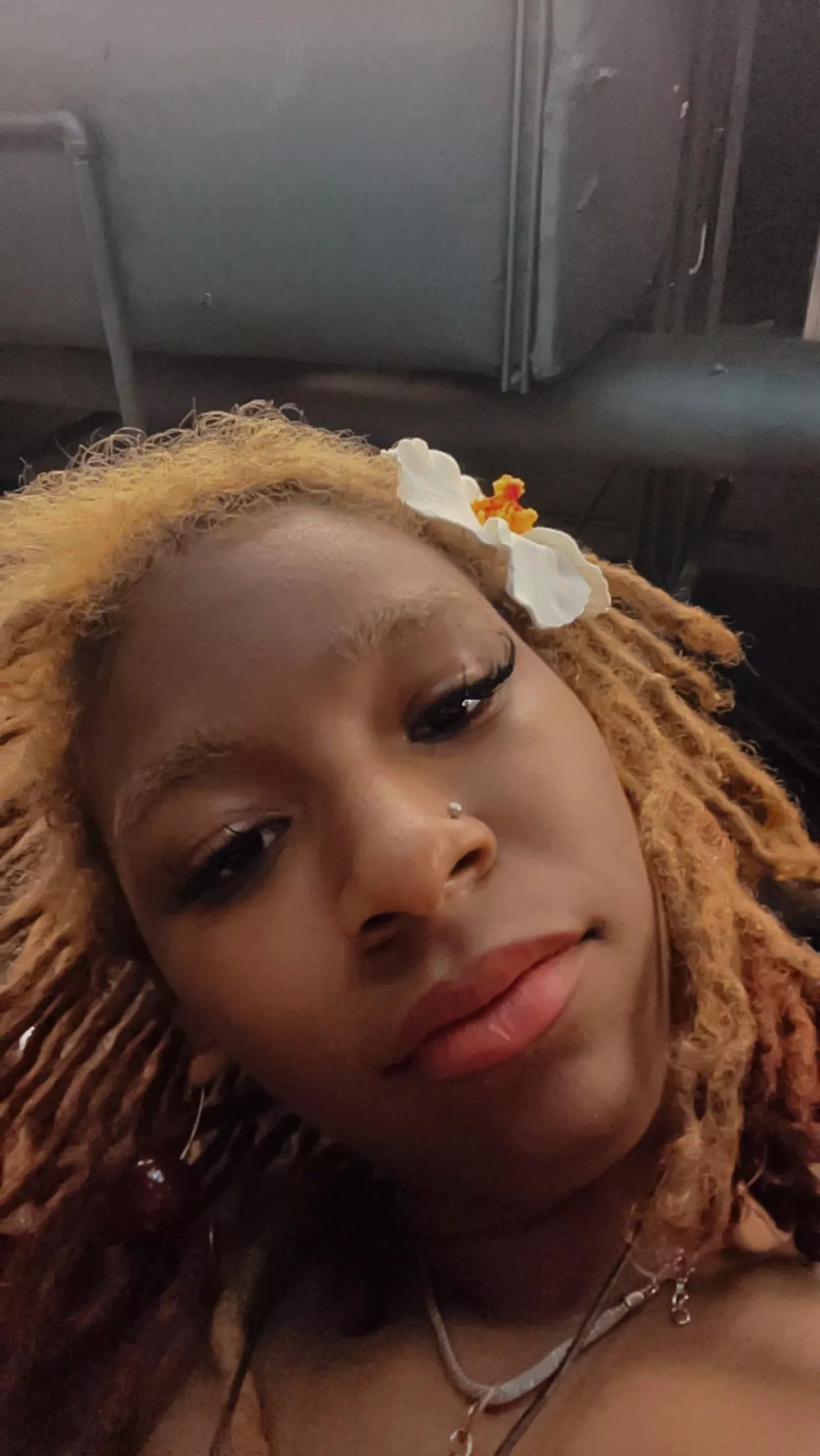 18f looking for a sd can verify 