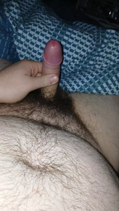 (18)m wicklow can accom all day tomorrow dm if intrested