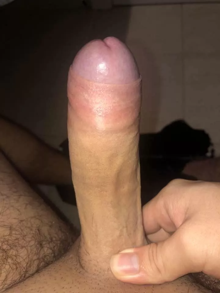 20M Elizabeth, looking for head