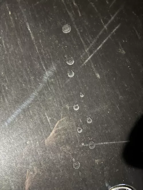 [28] I tagged the front of my car last night. 