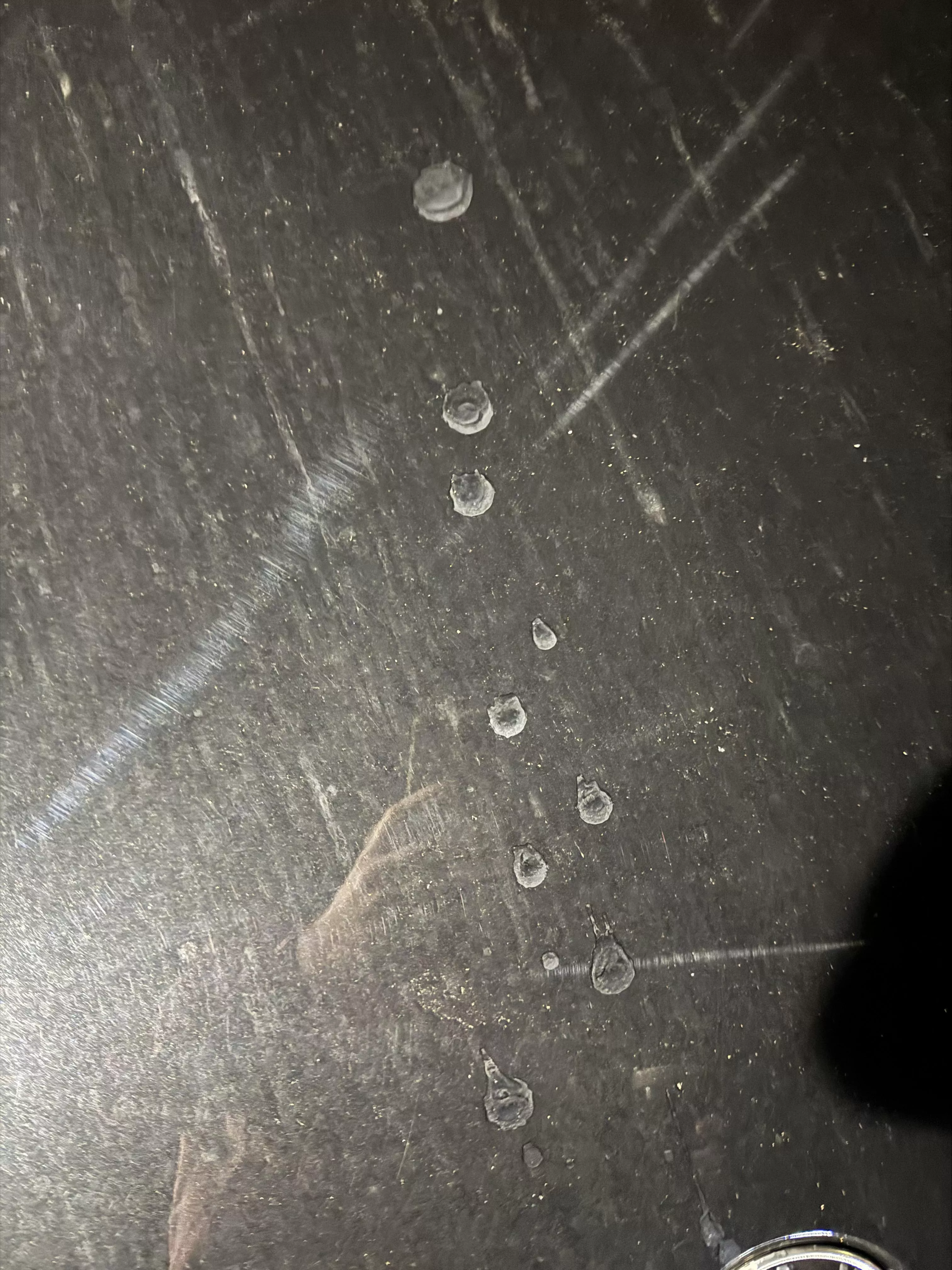 [28] I tagged the front of my car last night. 