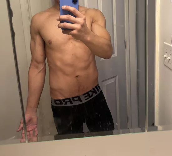 28yo fit bull in Logan Square at your service