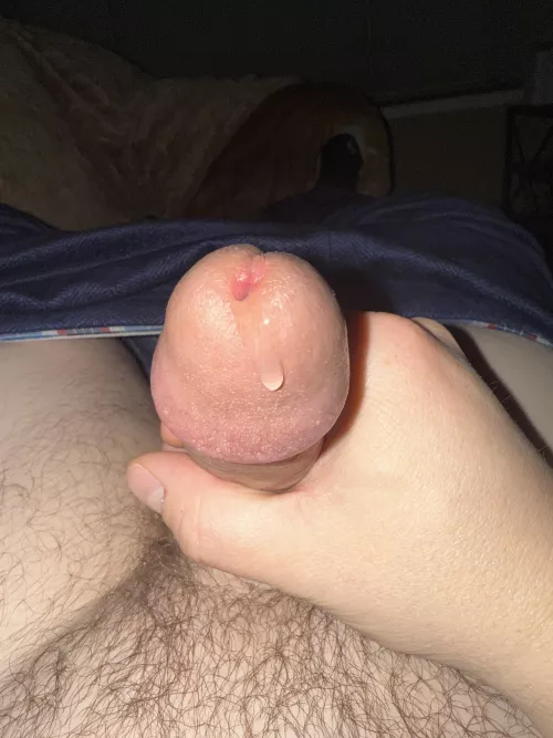 (33) (M4F) Looking for a Rider
