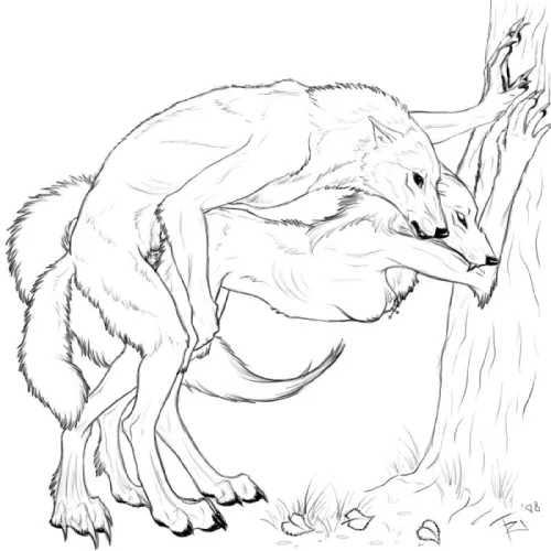 a werewolf breeding