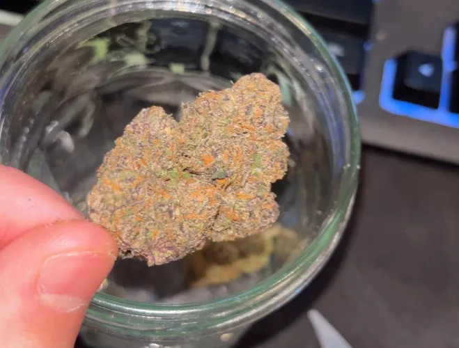 Black cherry gelato 8th - Southern Hemp Collection