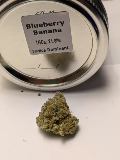 Blueberry Banana 