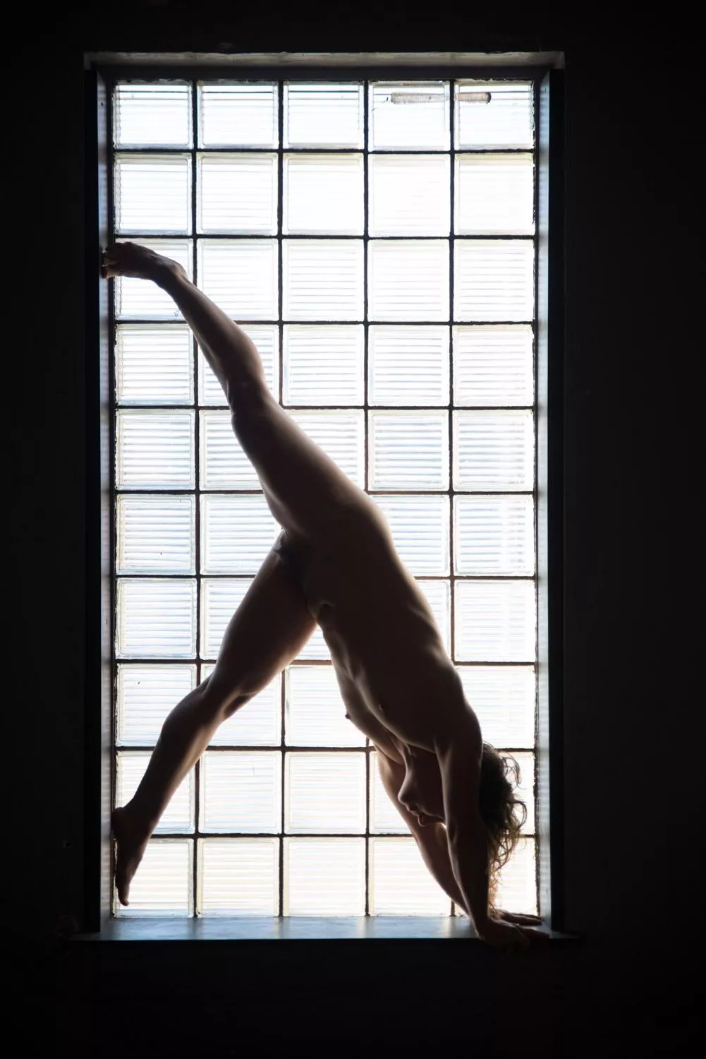 Cassandra in silhouette 