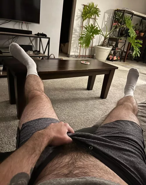 Champion socks are the best [35]