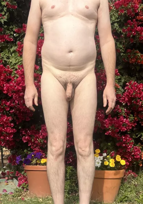 Colorful background [49]