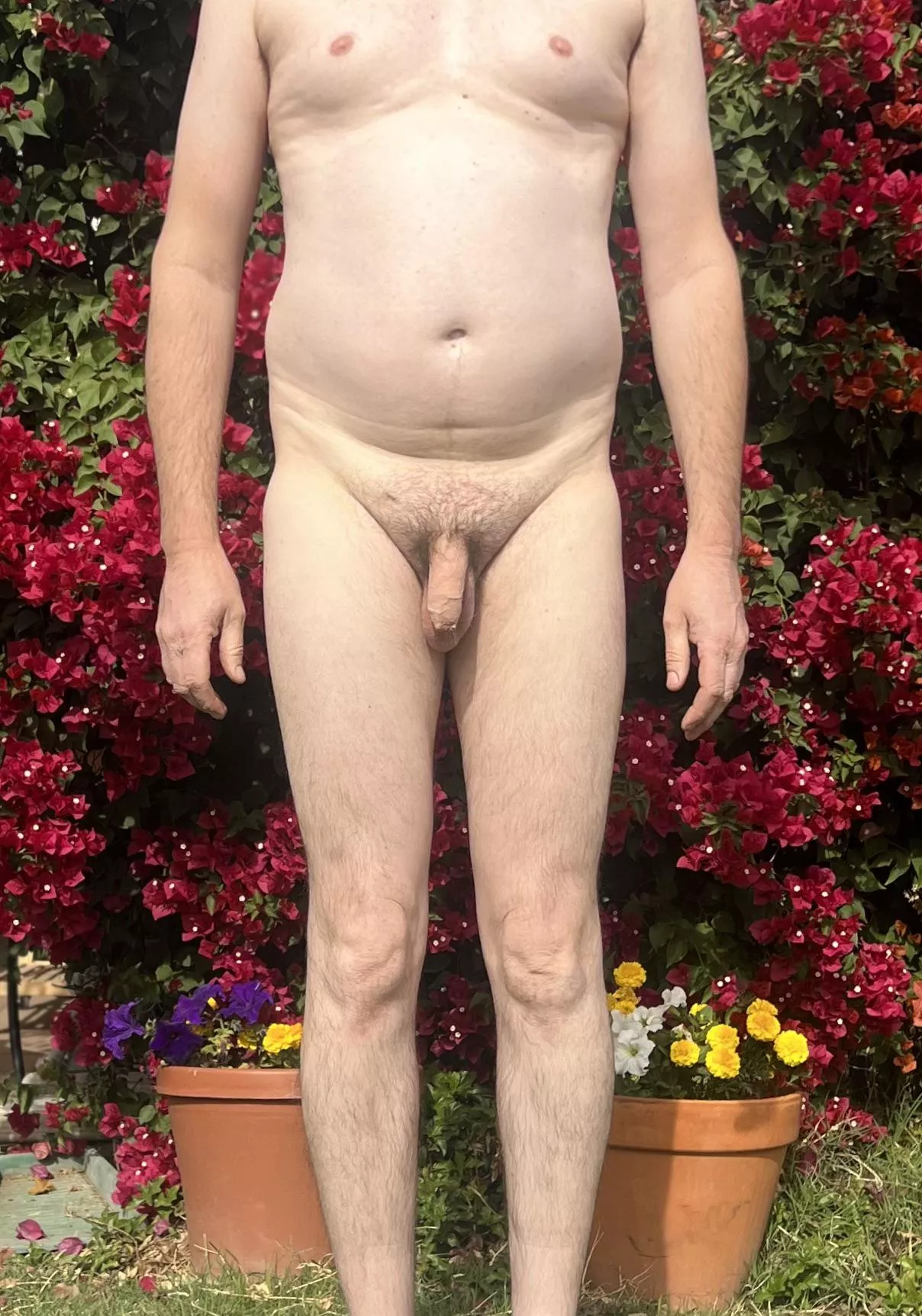 Colorful background [49]