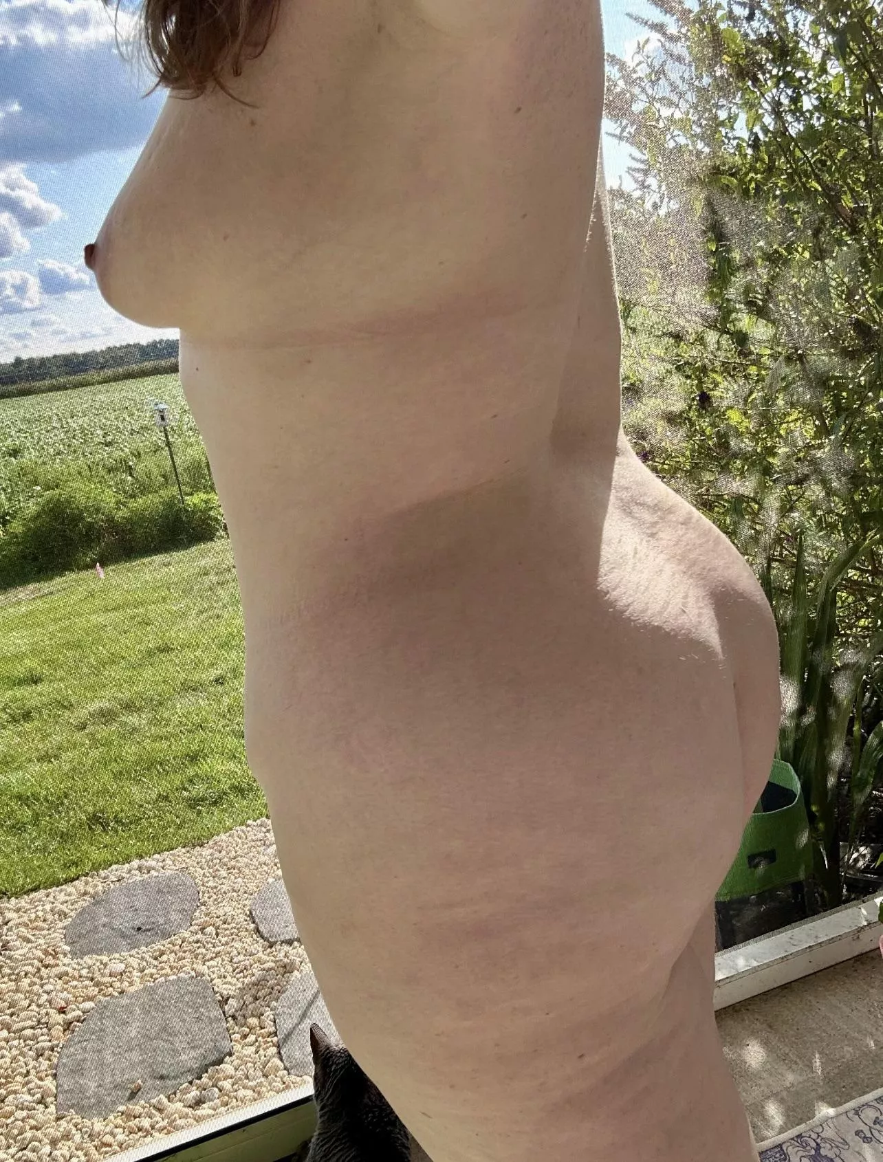 Cool air and warm sunlight. I love Autumn 