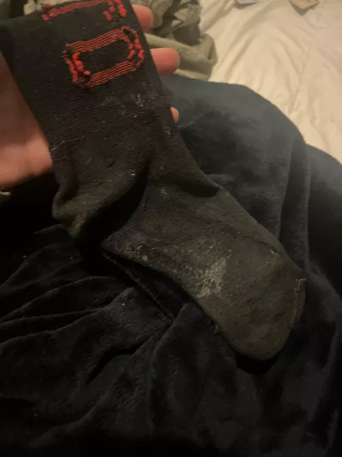 dirty sock for you 