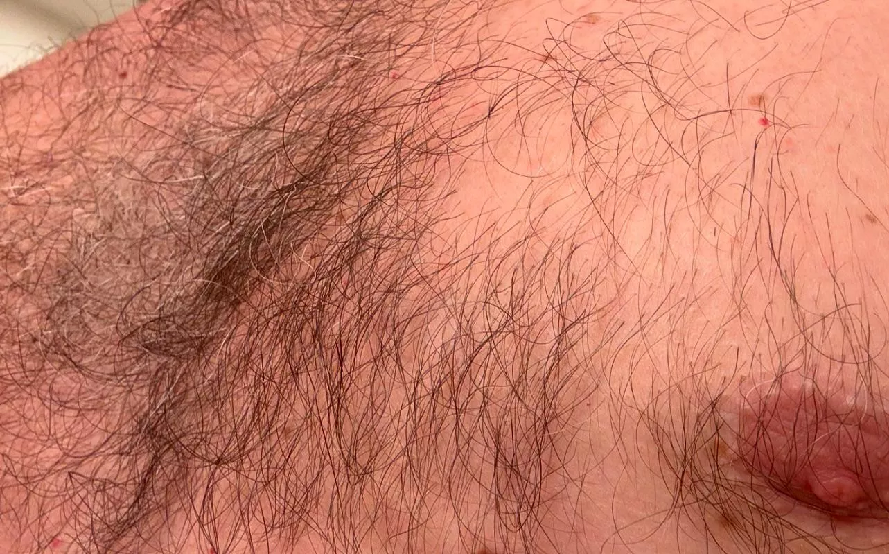 Do you like the grey in [M]y chest hair?