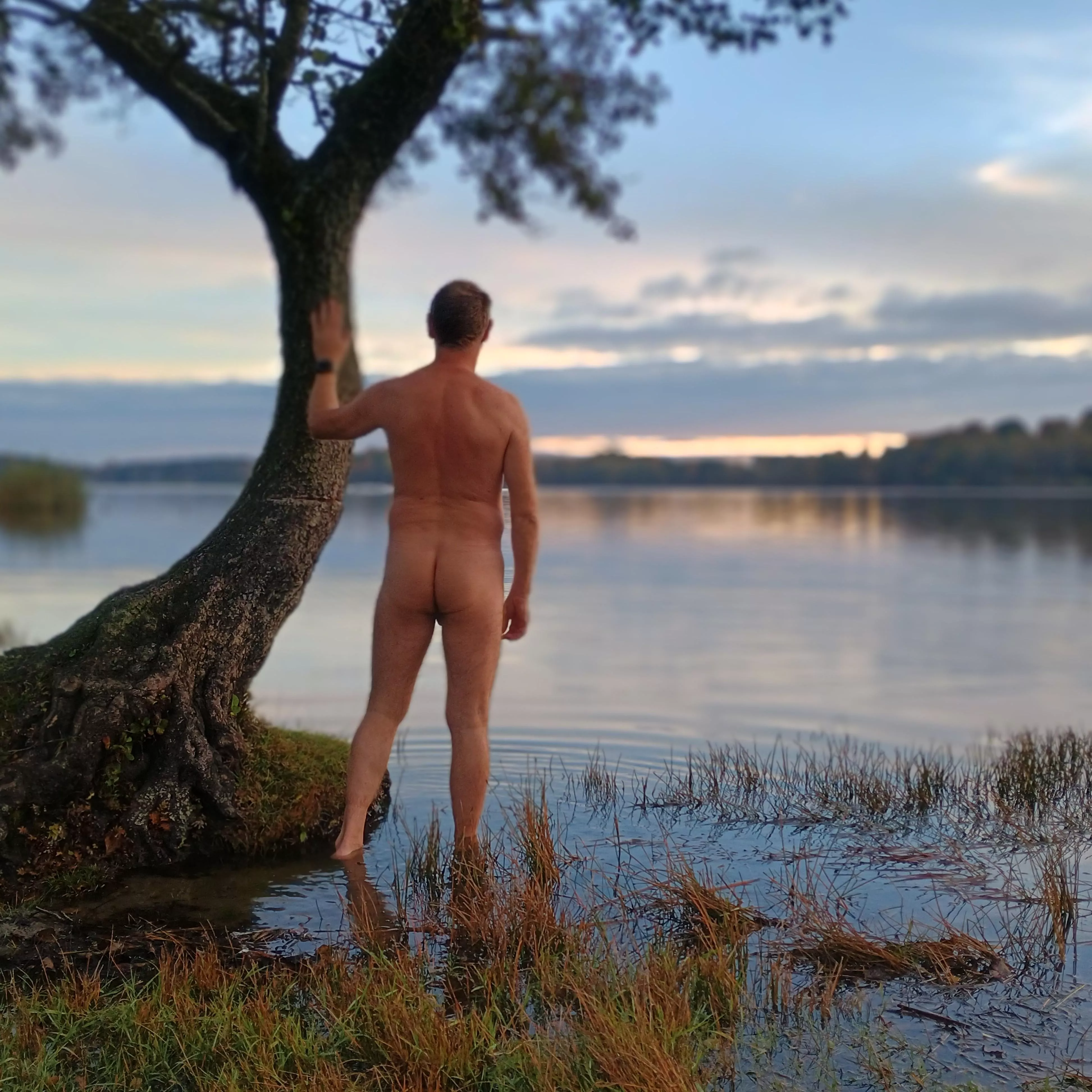 Early morning in Sweden 