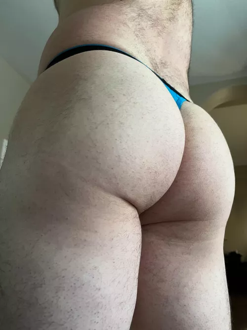 feed me more xmas cookies