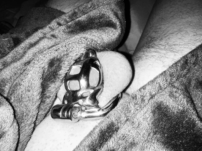 Feelt cute this morning, peep says hi 