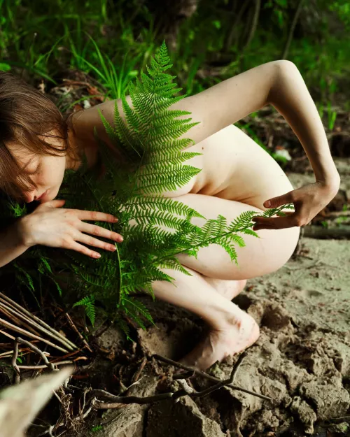 Fern pattern is my favourite 