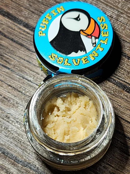 GMO from puffin solventless