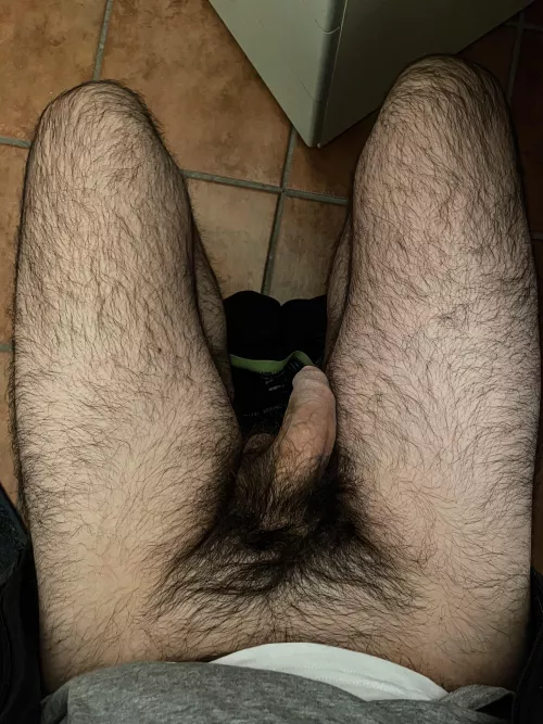 hairy legs and bush 
