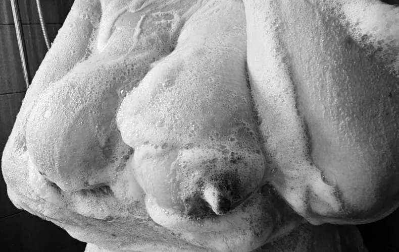 Happy soapy Titty Tuesday everyone! (F)
