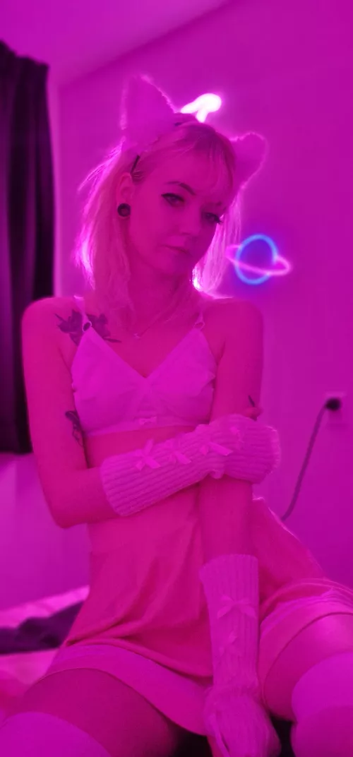 Hope u have a purrr-fect monday so far 💞