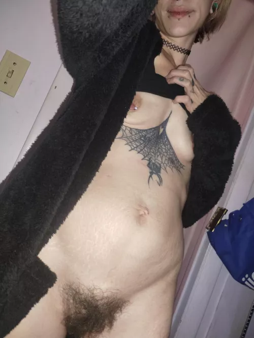 I know my bush made you stop and stare 