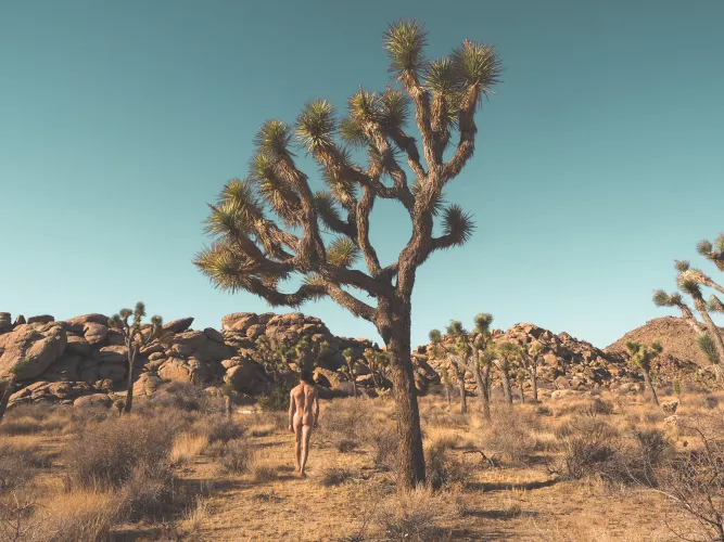 I want to run, I want to hide