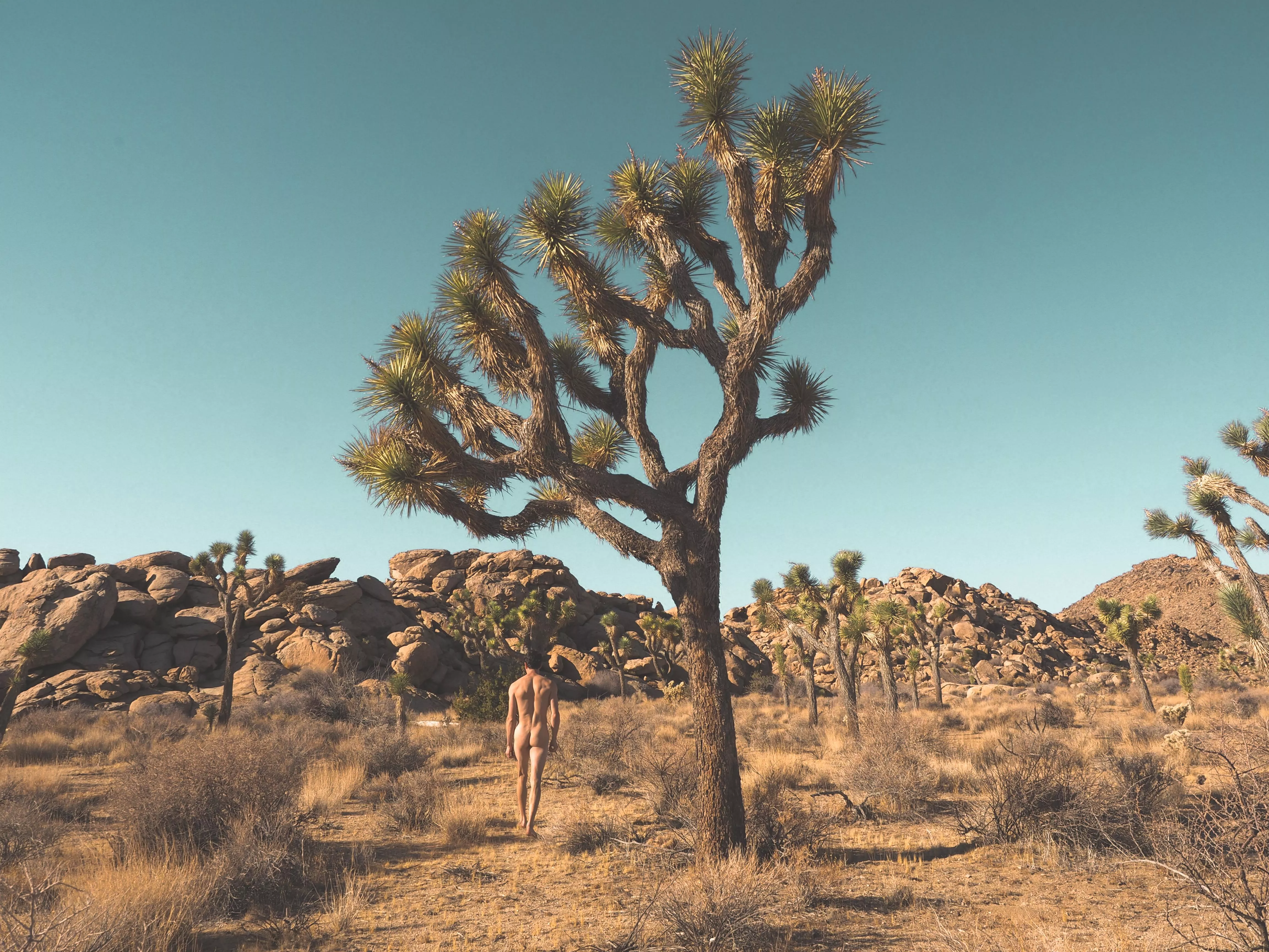 I want to run, I want to hide