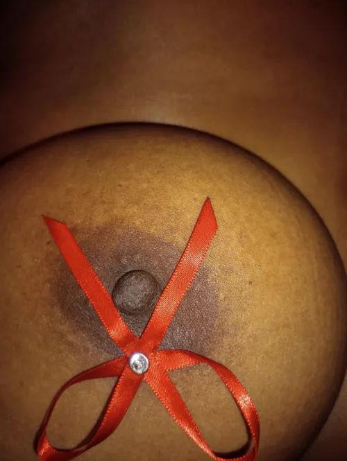 It's beginning to look a lot like Xmas [F]