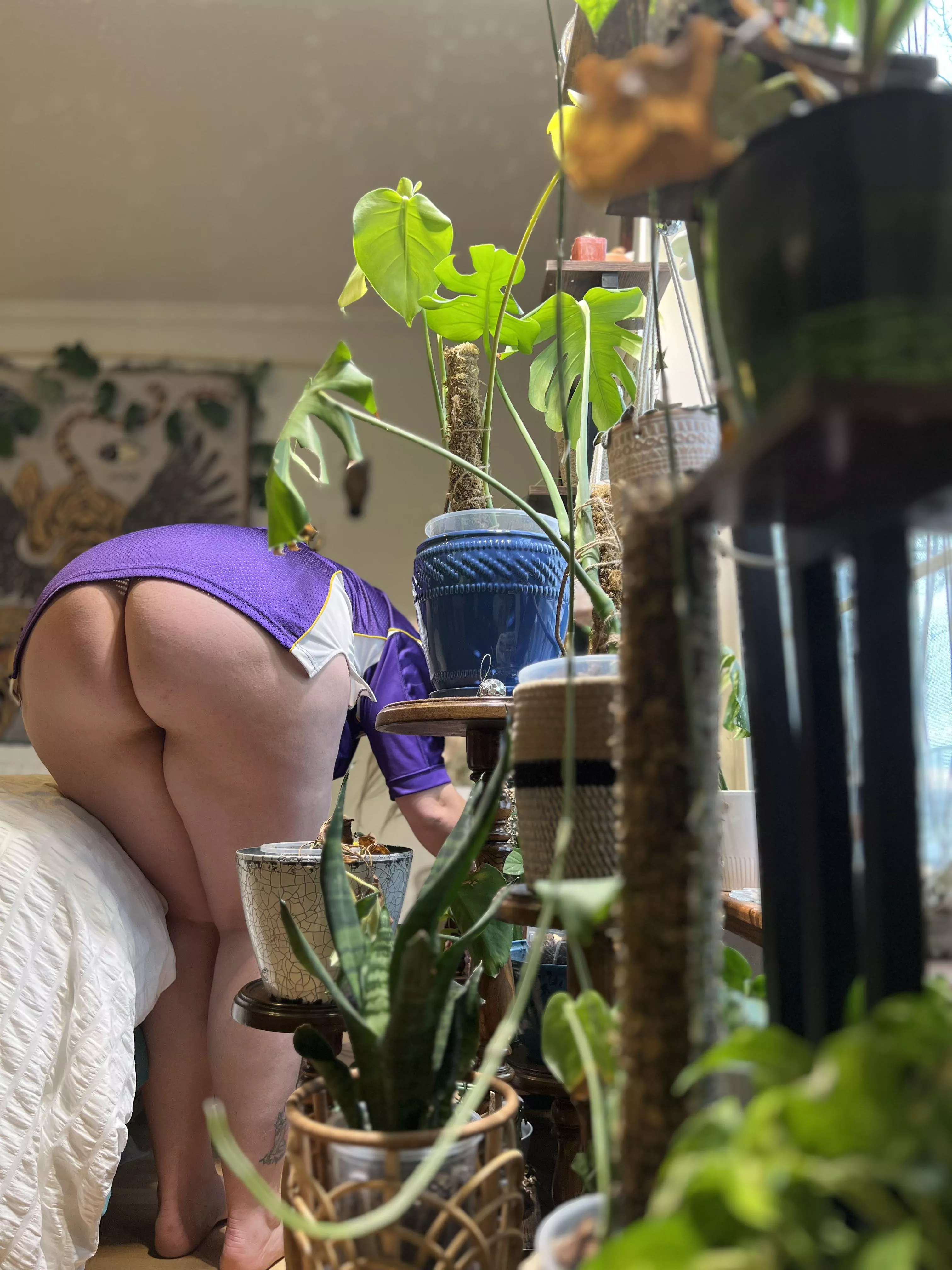 It's halftime! Perfect moment to check on my planties 