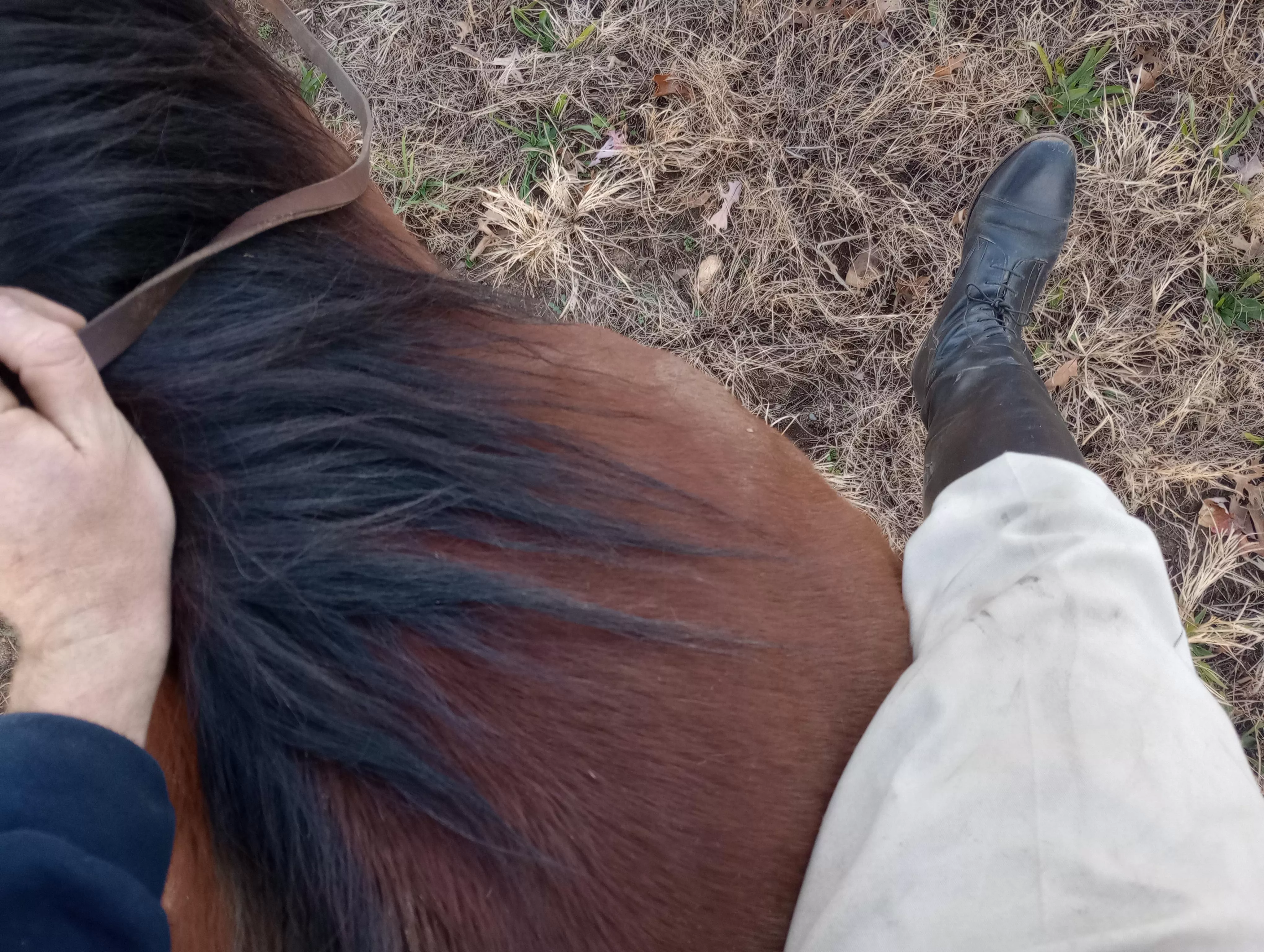 Just your average guy who enjoys a casual bare back ride.