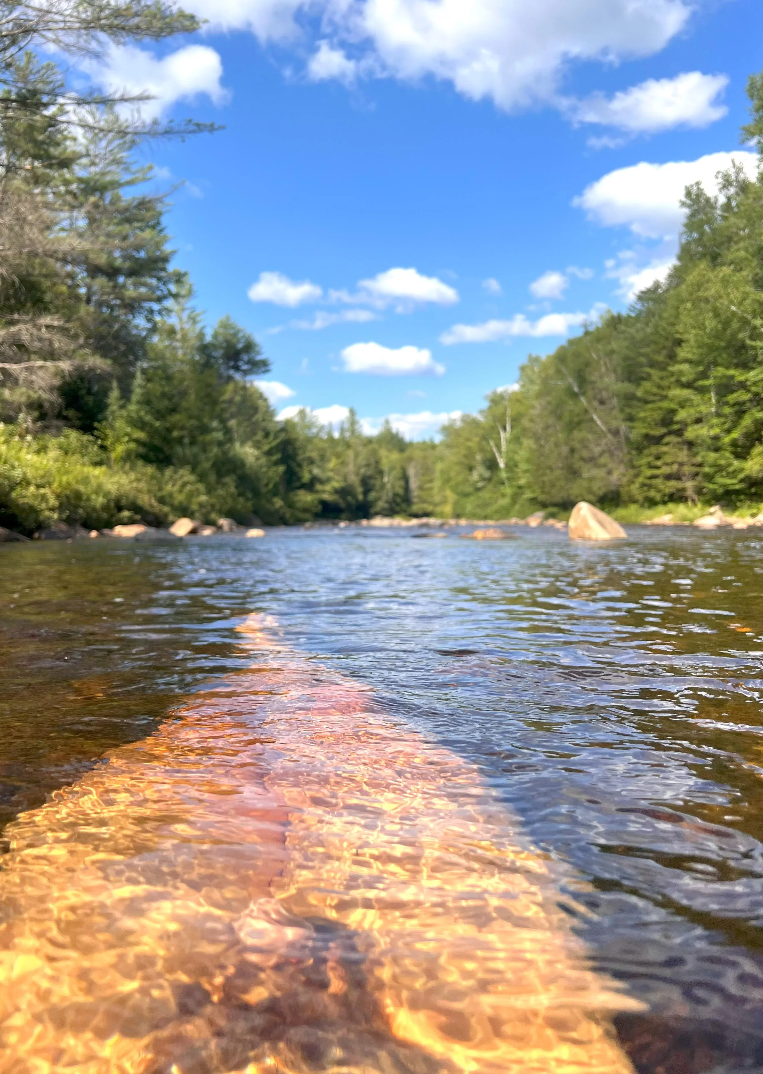 Longing for this again - a quick dip on a warm summer hike