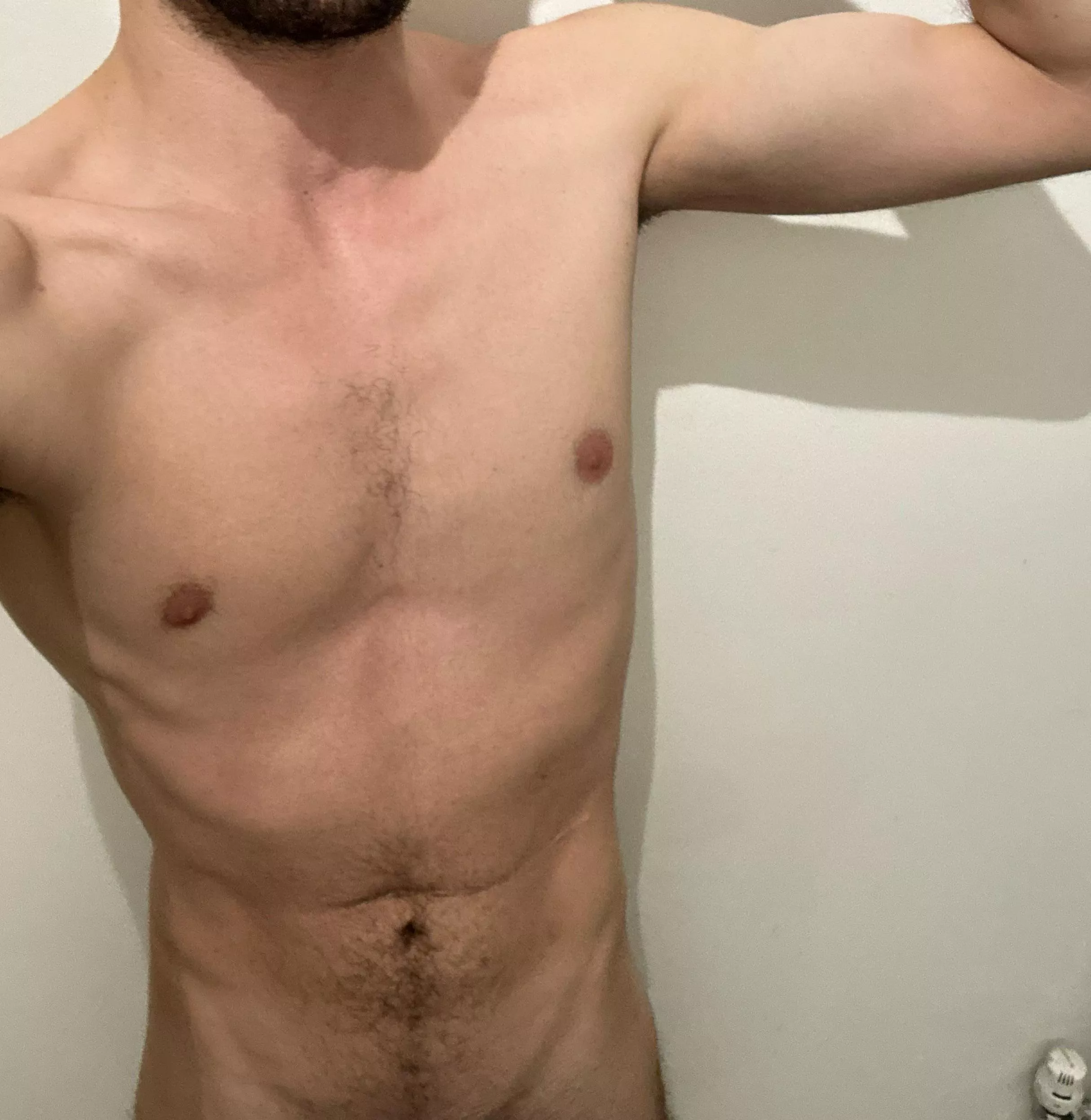 Looking for piggy to fund my bulking expenses