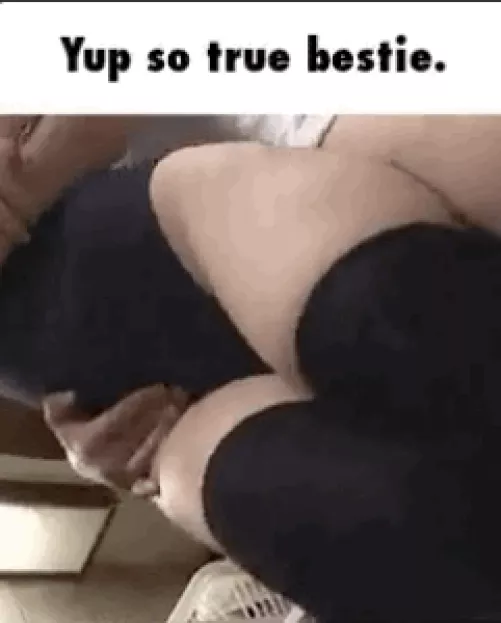 Looking for the sauce of this 