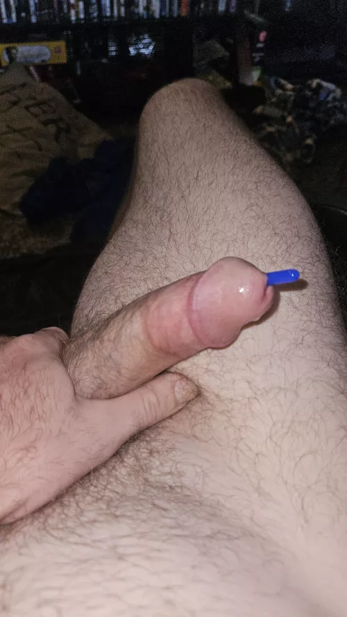 Love this new toy 😍 