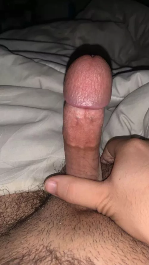 M21 looking for MF/F
