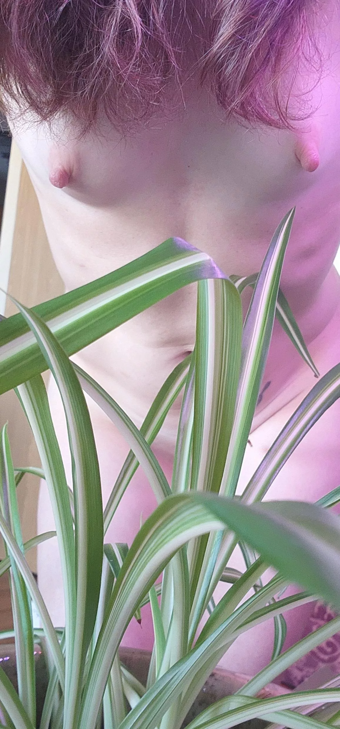 Maybe if I tower over them, they'll grow faster