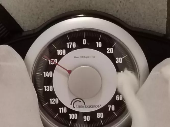 my morning weigh-in 