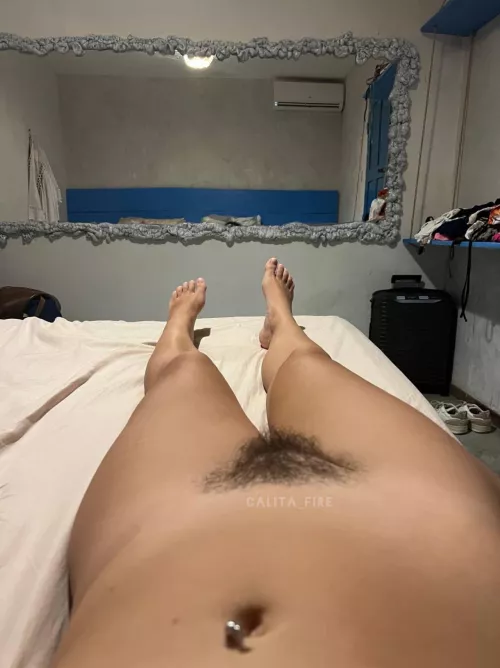 My perfect bush is a dream come true