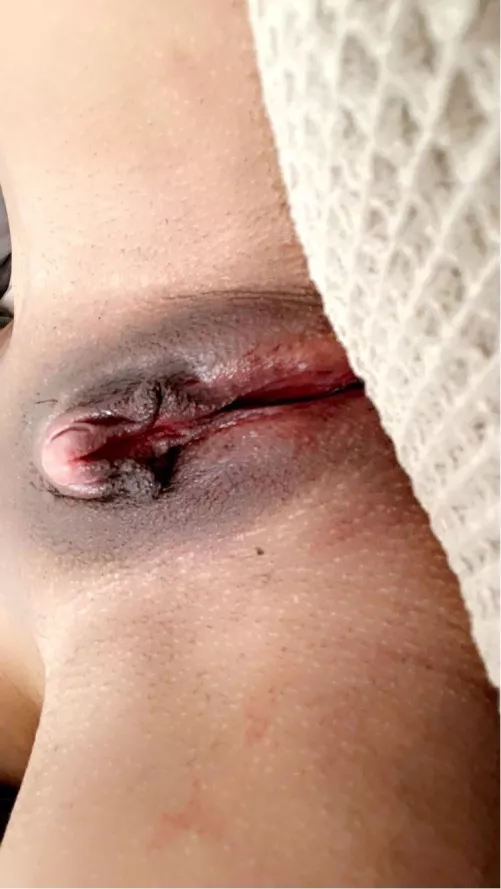 My poor crying 🐱 from not being bred 