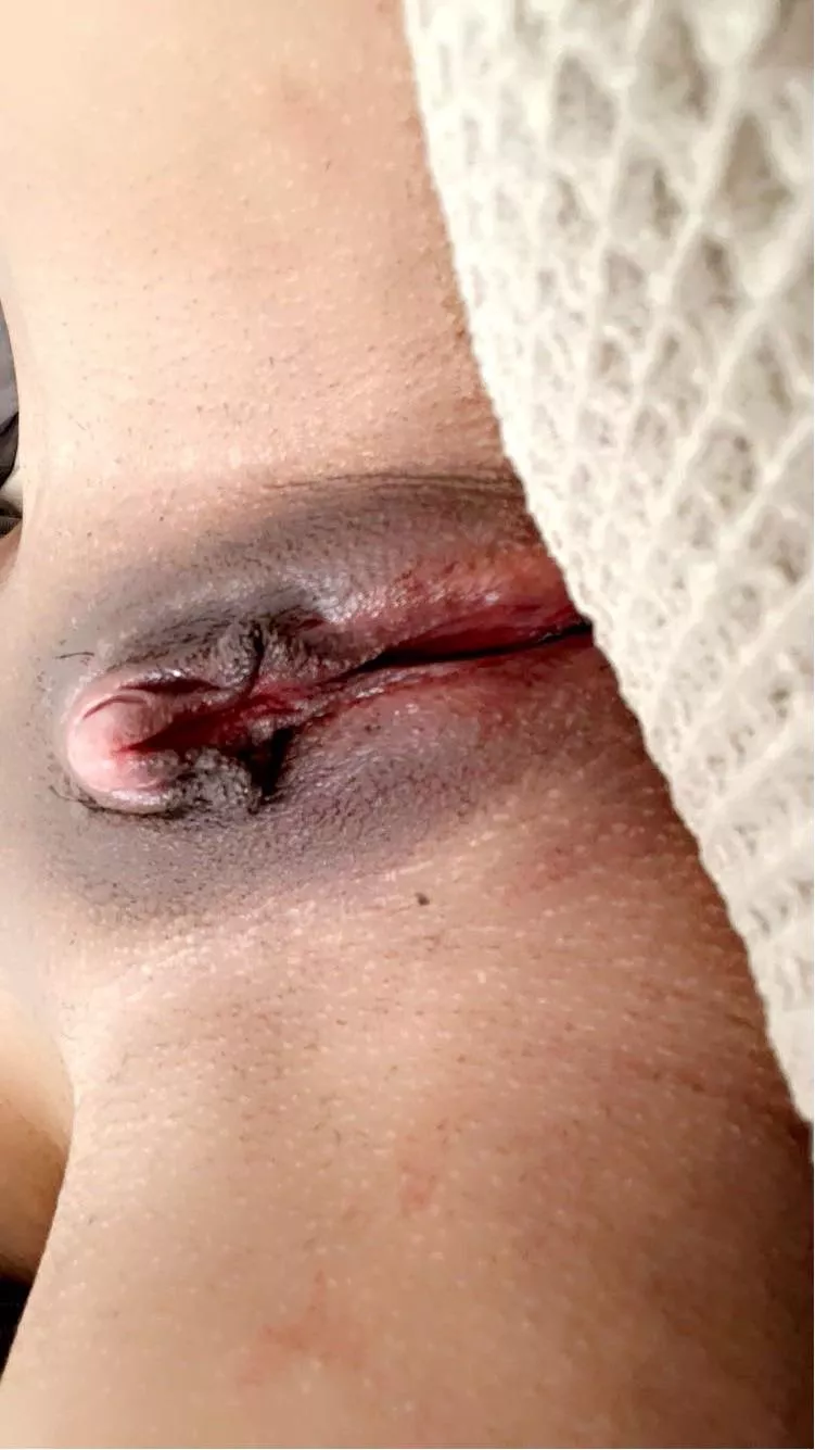 My poor crying 🐱 from not being bred 