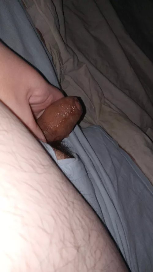 Need to get this fat little dick hard hmu for snap