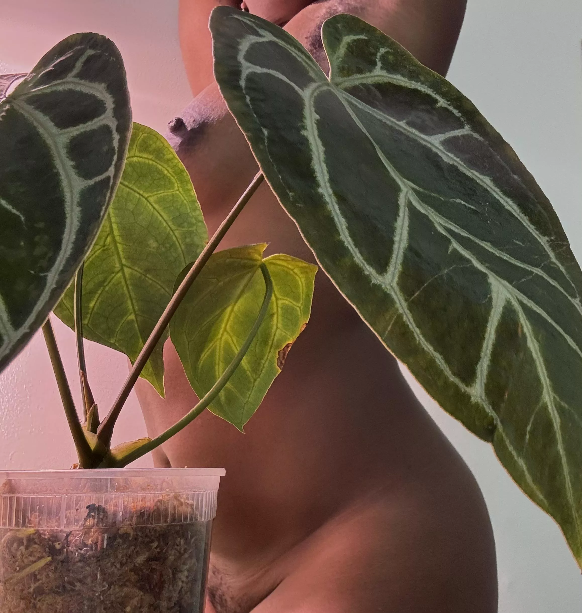 Nice and natural 😉 