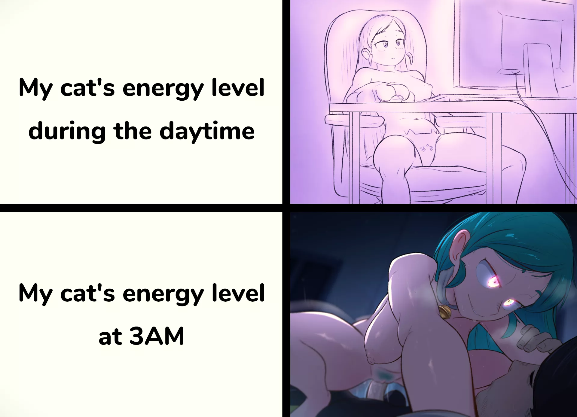 Oh no she has the zoomies 