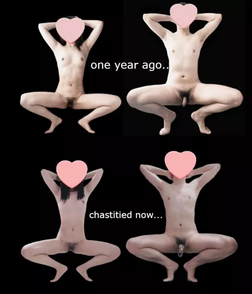 one year comparison,start to use chastity cage.....