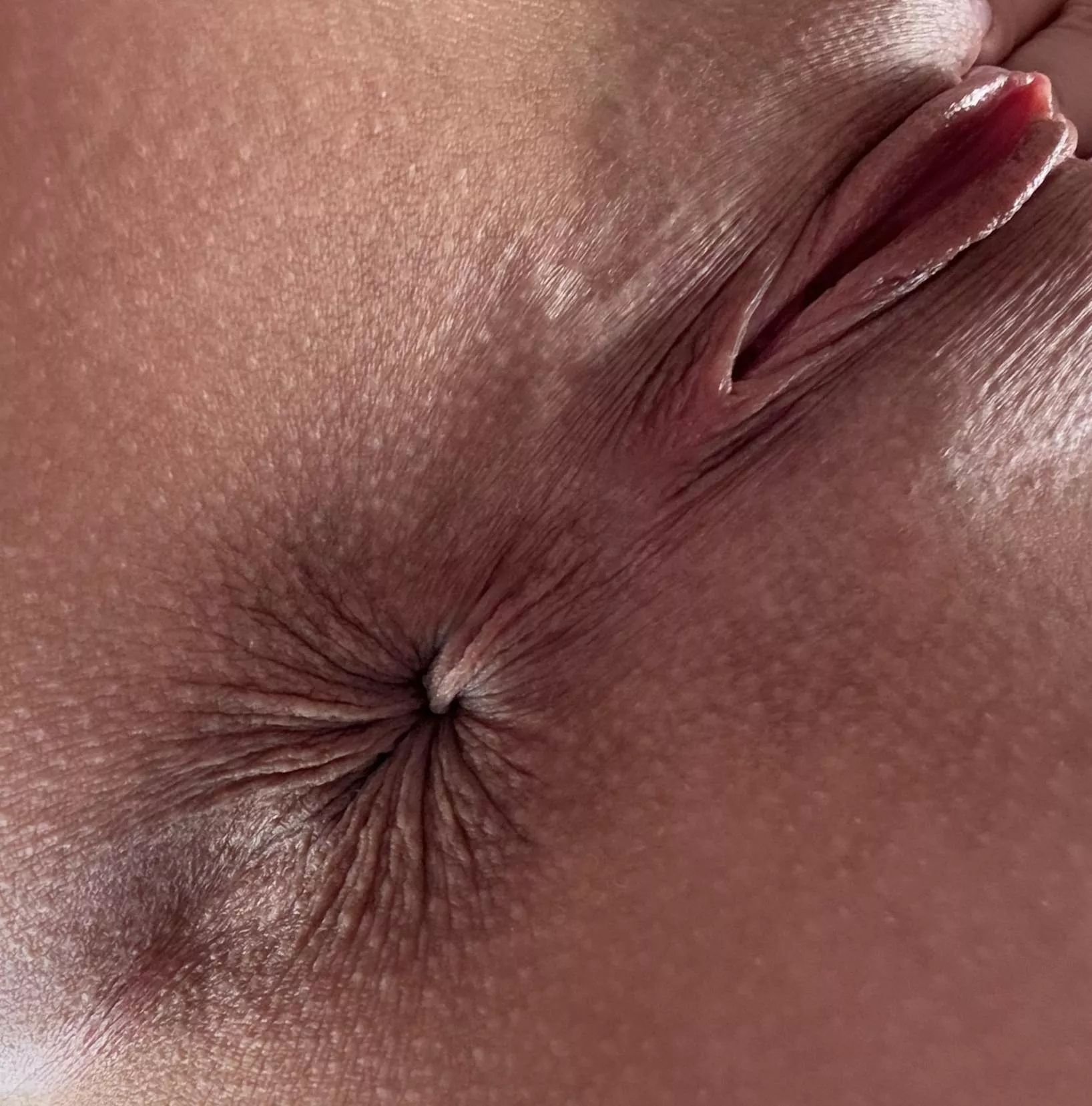 pretend I'm sitting on your face