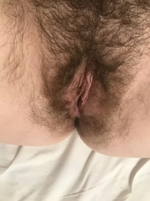 Rate my extremely hairy pussy 