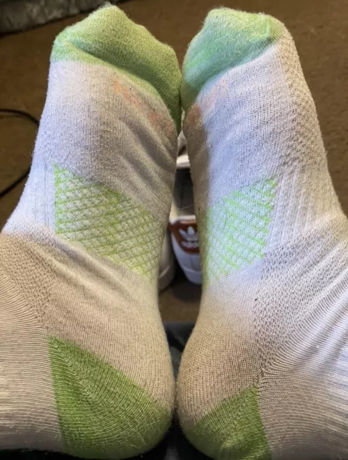 [Selling] Get a face full of 5 days of wear. The stink is sooooo good 🧀🧦